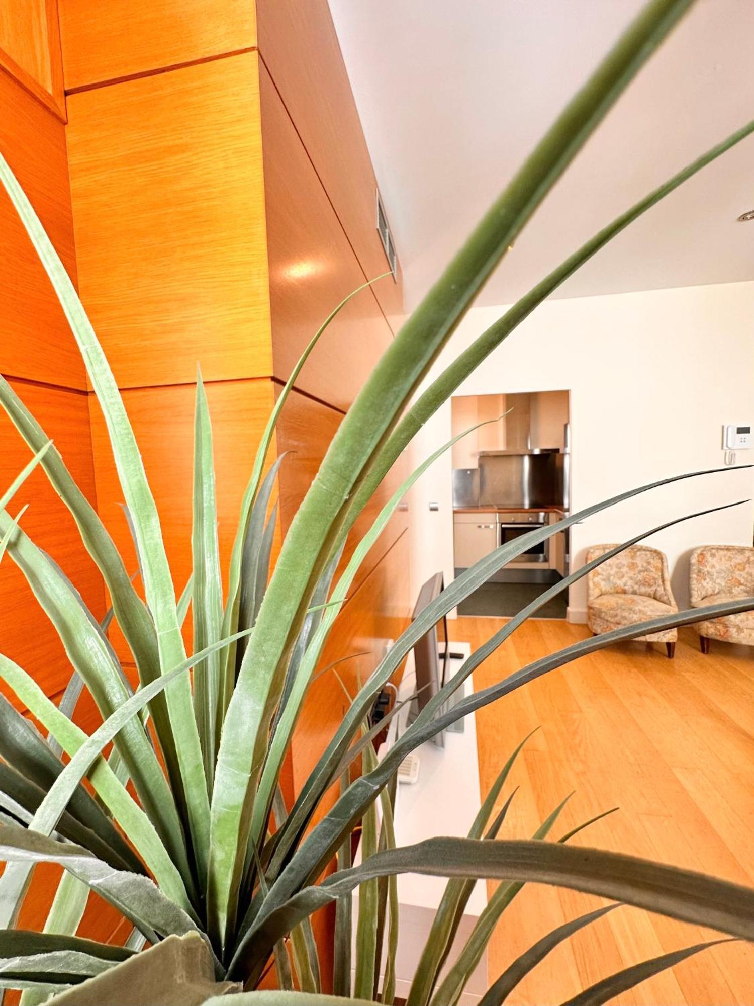 Penthouse Near Cathedral Private Rooftop Private Parking Sevilha Exterior foto
